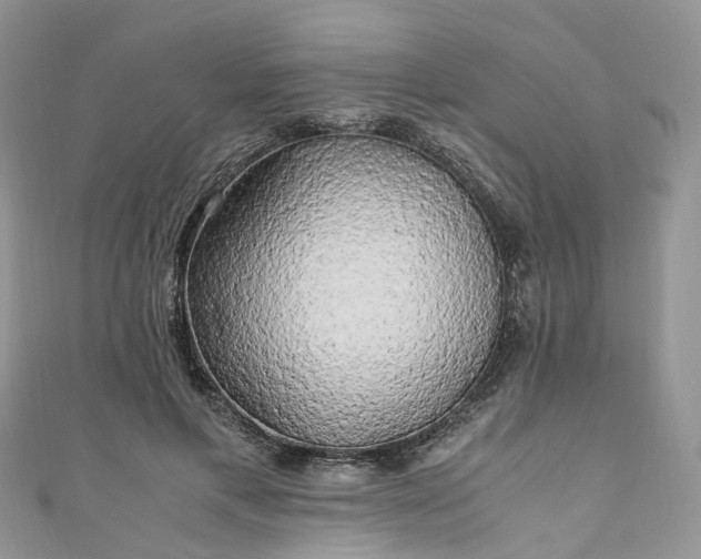 X0000111010597200906261521