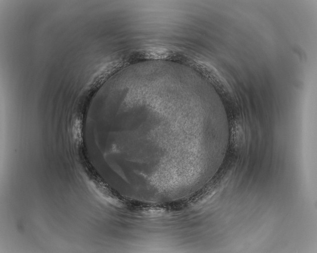 X0000111010598200906261521