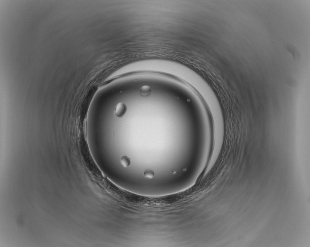 X0000111010599200906261521