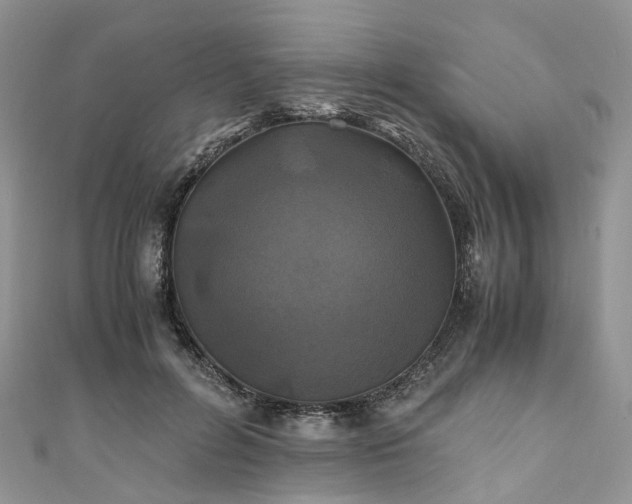 X0000111010600200906261521