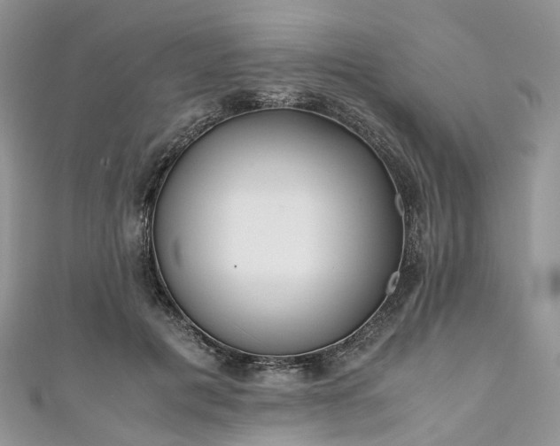 X0000111010601200906261521