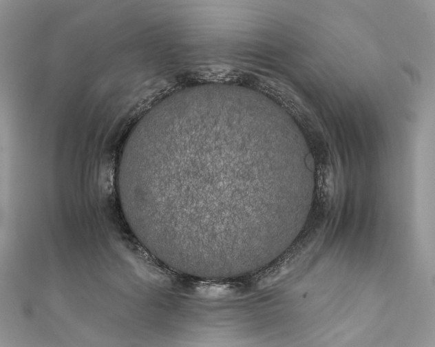 X0000111010602200906261521