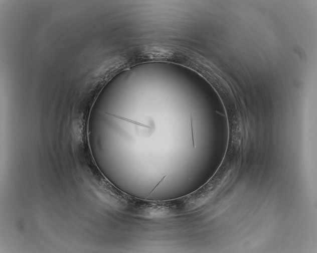 X0000111010604200906261521