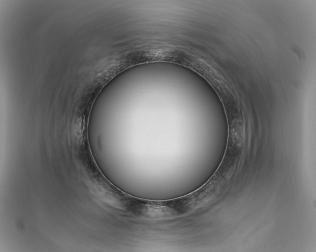 X0000111010605200906261521