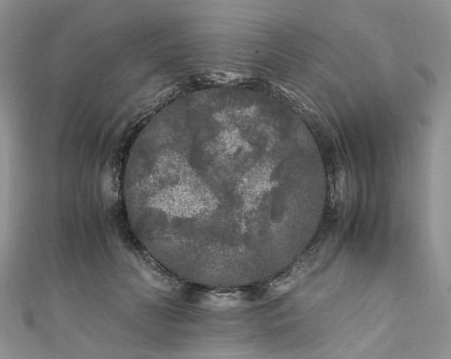 X0000111010606200906261521