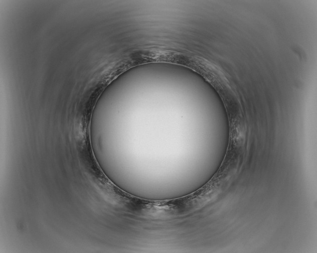X0000111010607200906261521