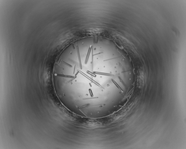 X0000111010608200906261521