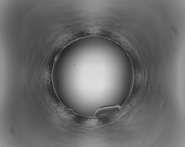 X0000111010609200906261521