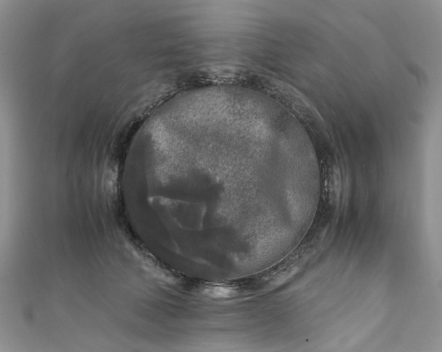 X0000111010610200906261521