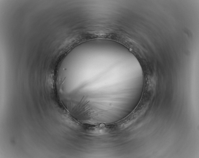X0000111010612200906261521
