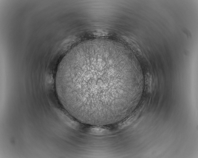 X0000111010614200906261521