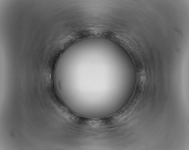 X0000111010615200906261521