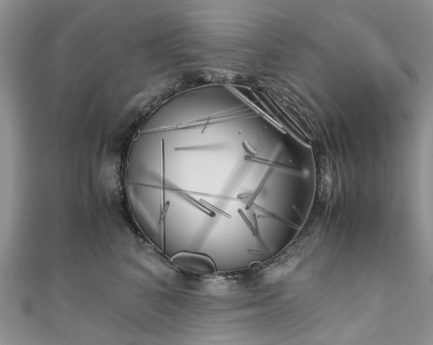 X0000111010616200906261521