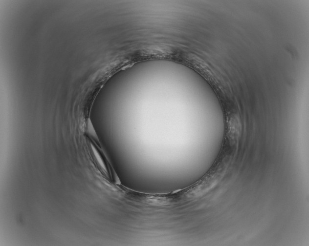 X0000111010617200906261521