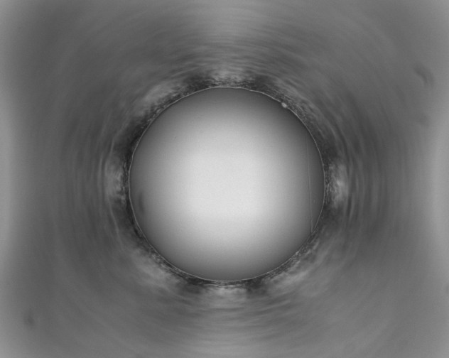 X0000111010619200906261521
