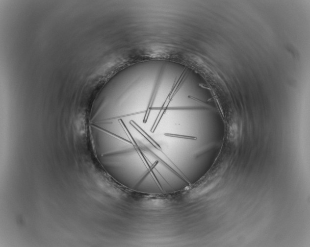X0000111010620200906261521