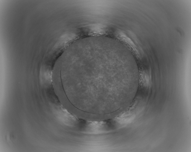 X0000111010621200906261521