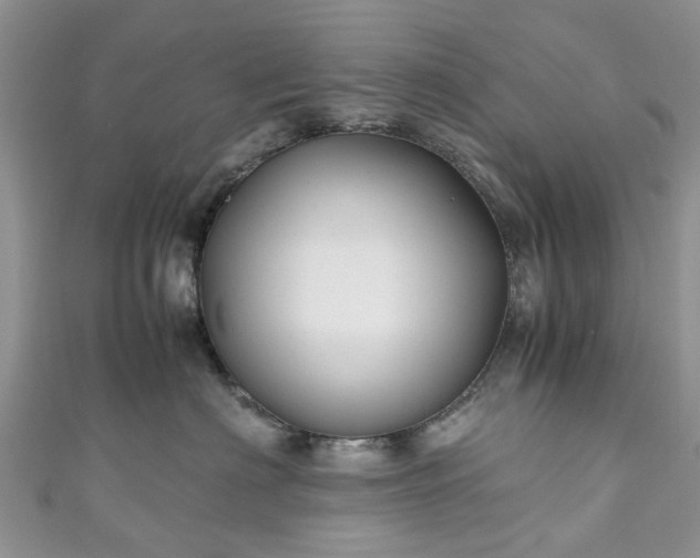 X0000111010622200906261520
