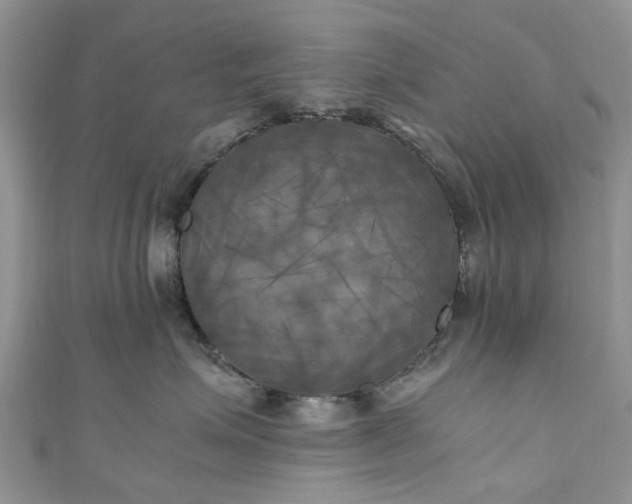 X0000111010623200906261520