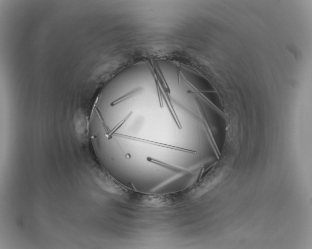 X0000111010624200906261520