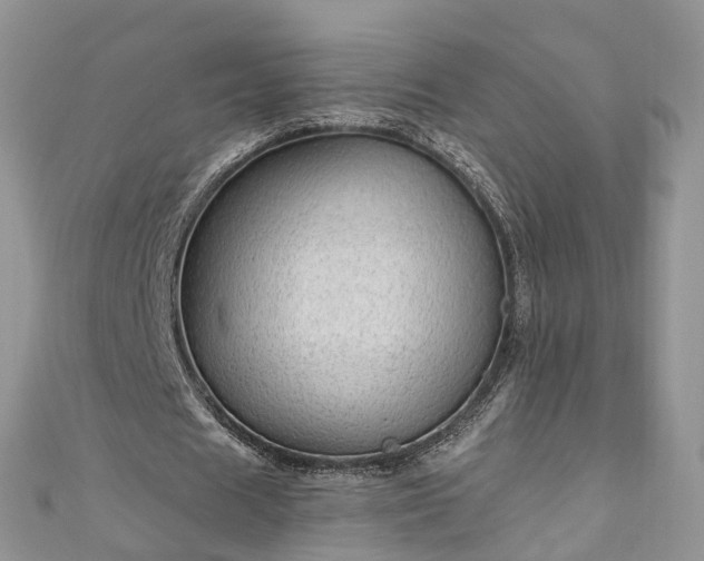 X0000111010625200906261520