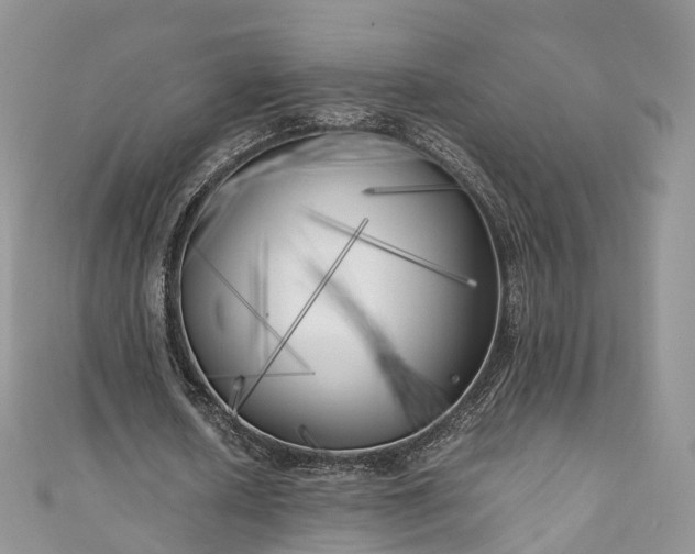 X0000111010626200906261520