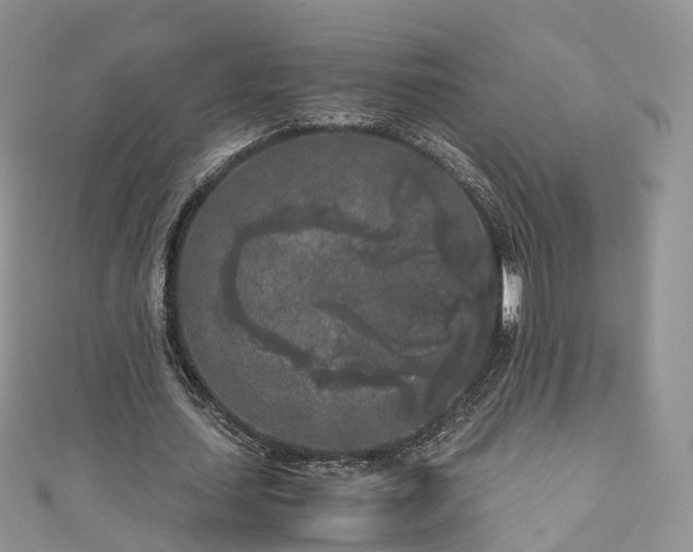X0000111010627200906261520