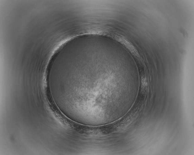 X0000111010628200906261520