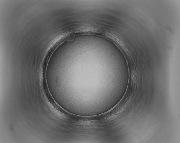 X0000111010629200906261520