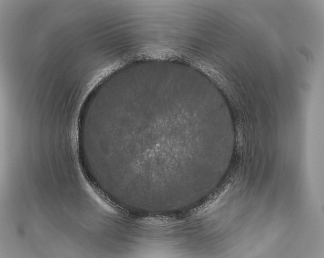 X0000111010630200906261520