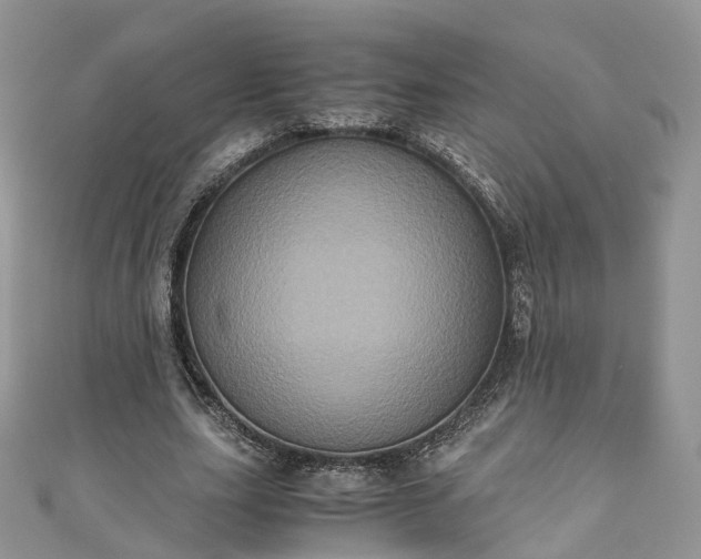X0000111010631200906261520