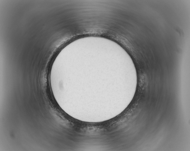 X0000111010632200906261520