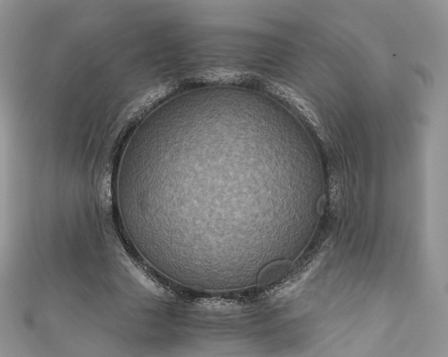 X0000111010633200906261520