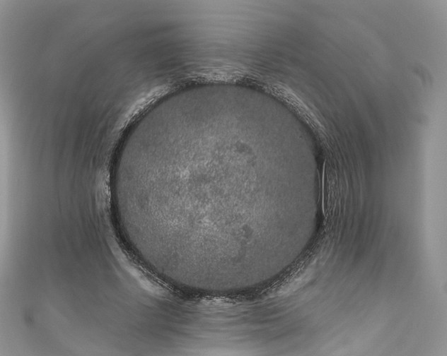 X0000111010634200906261520