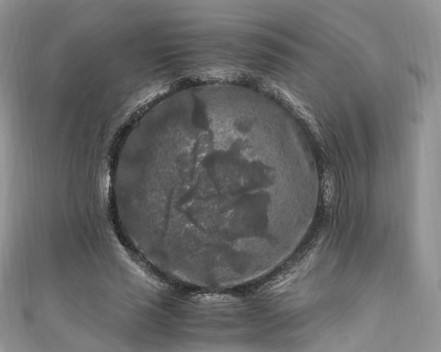 X0000111010637200906261520