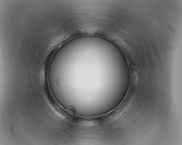 X0000111010638200906261520