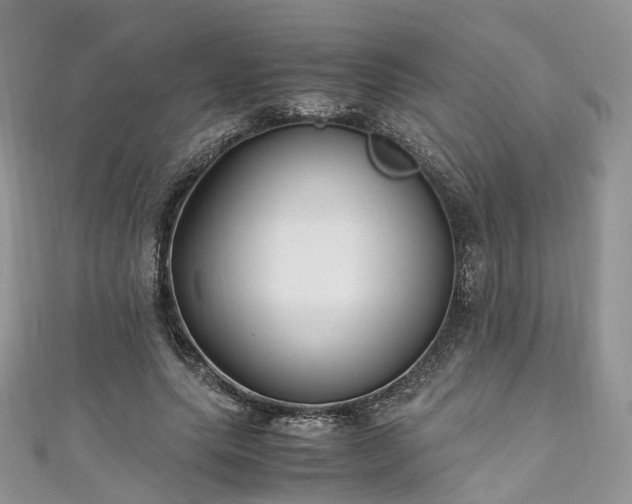 X0000111010639200906261520