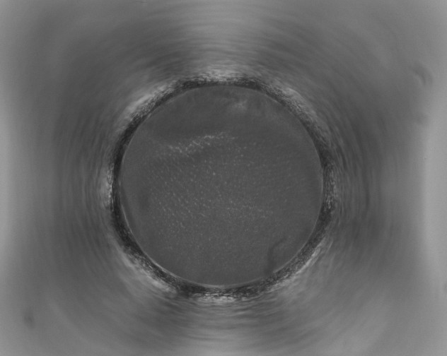 X0000111010640200906261520