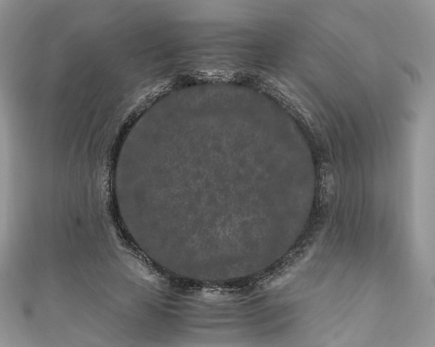 X0000111010641200906261520