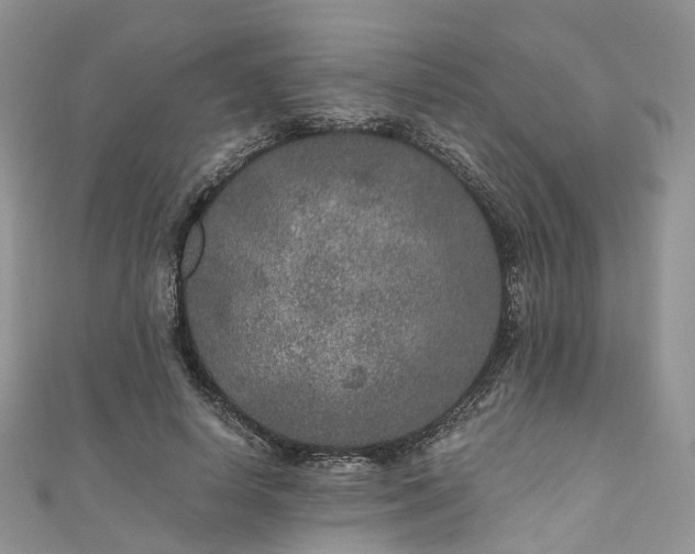 X0000111010642200906261520