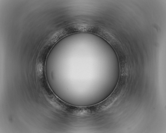 X0000111010646200906261520