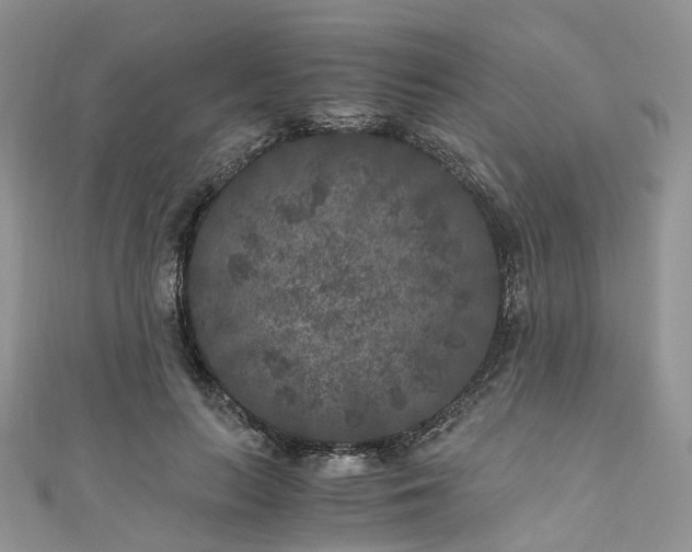 X0000111010647200906261520