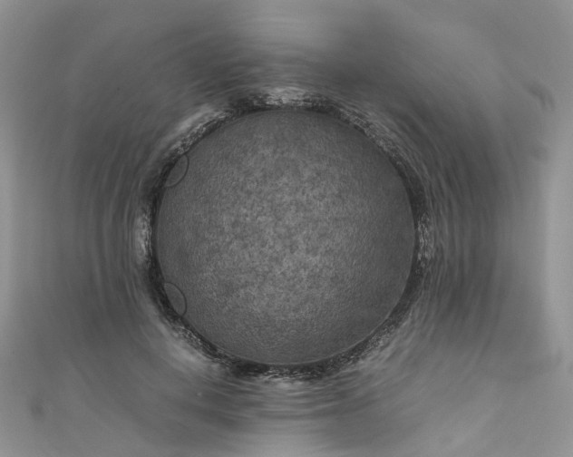 X0000111010648200906261520