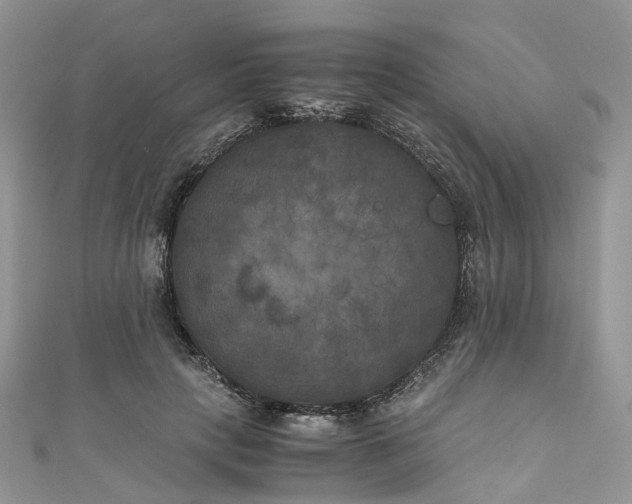 X0000111010649200906261520