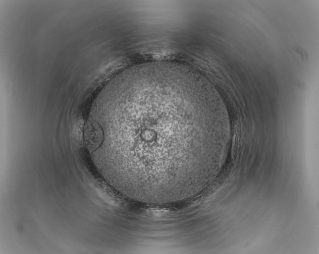 X0000111010650200906261520