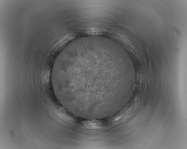 X0000111010652200906261520