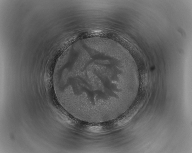 X0000111010653200906261520