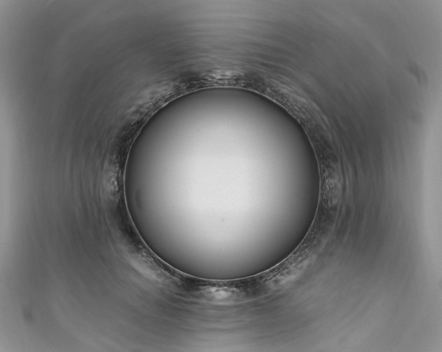 X0000111010654200906261520