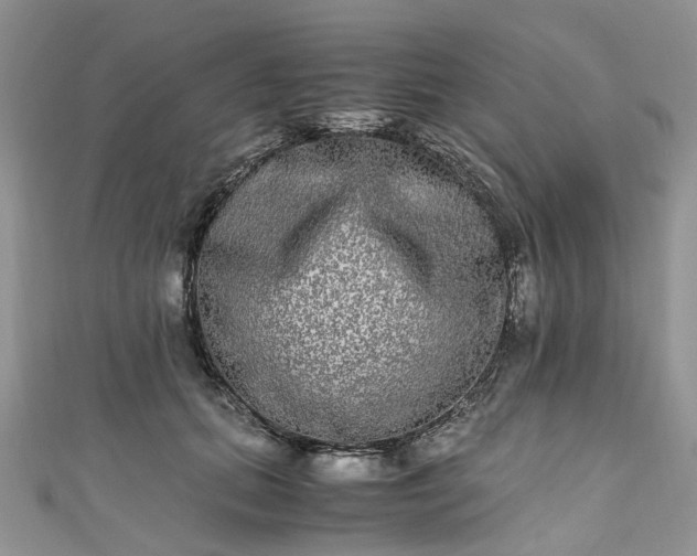 X0000111010655200906261520