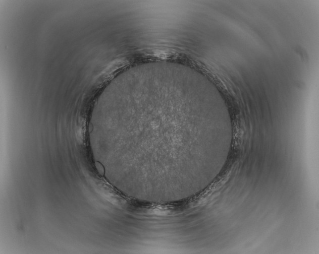 X0000111010656200906261520
